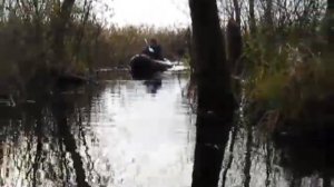 Рыбалка в Брянской обл.