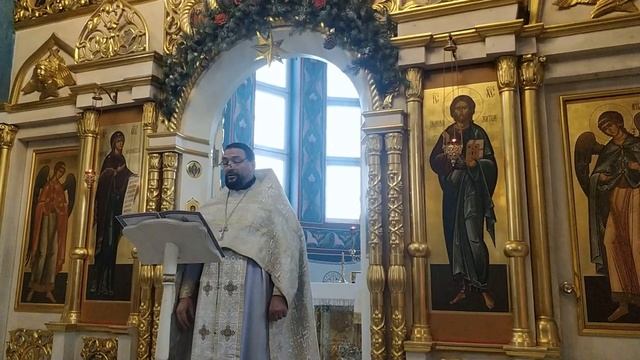 Рождественское послание митр. Минского и Заславского Вениамина чтомое прот. Николаем Тютюнниковым. смотреть онлайн