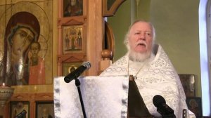 Исламский мир стал примером для подражания христиан? Протоиерей Дмитрий Смирнов