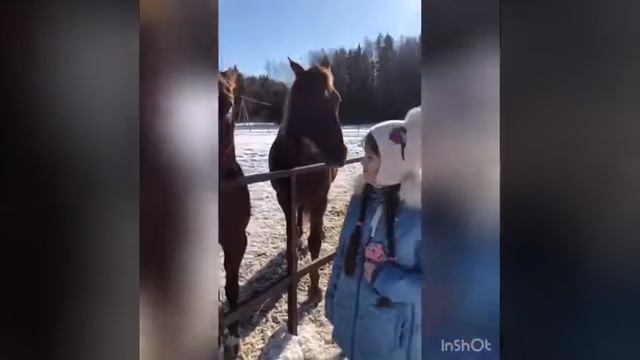 Прогулка на лошади Марго смотреть онлайн