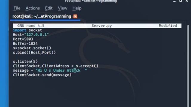 Python Reverse Shell 1 смотреть онлайн