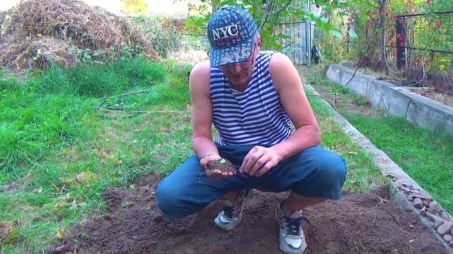 18 Растут большие зелёные изумруды (2).mp4 смотреть онлайн