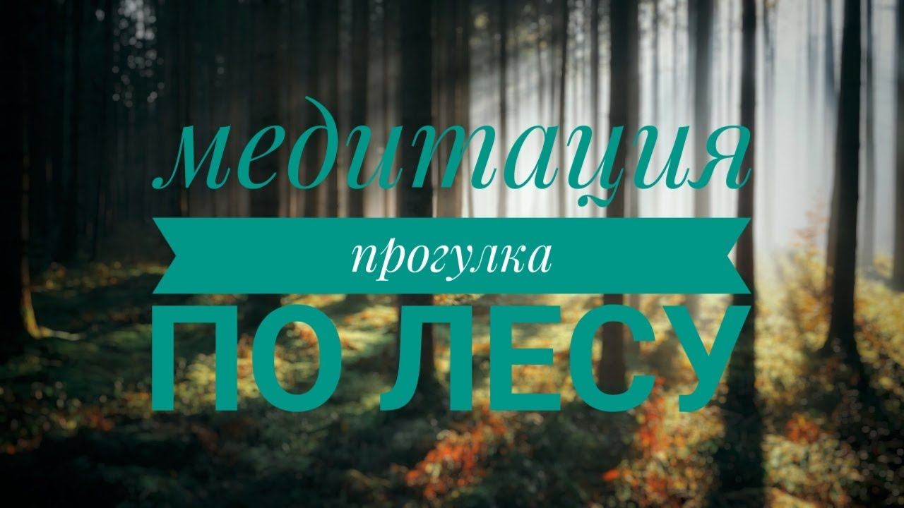 МЕДИТАЦИЯ ПРОГУЛКА ПО ЛЕСУ | глубокое расслабление и снятие стресса