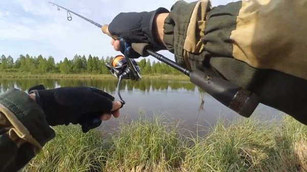 Jackall Chubby Popper, Chubby Pencil. Рыбалка на топвотеры.