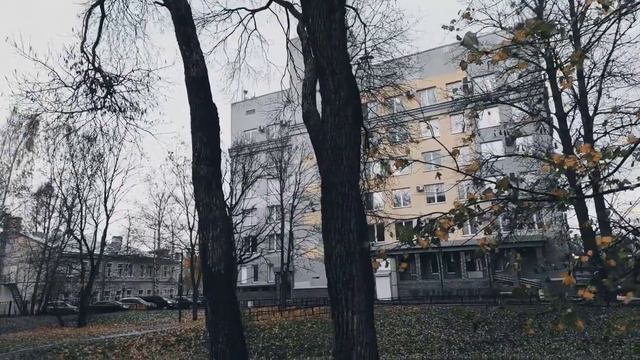 VID 20231108 155741 Ручной кот (Эзра Паунд)...Павел Васильев Лахтинский смотреть онлайн