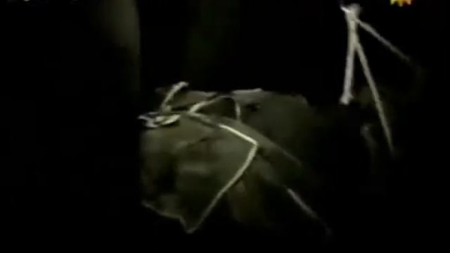 Curso de Supervivencia en Selva a Andy Kusnetzoff - Argentinos por su Nombre смотреть онлайн