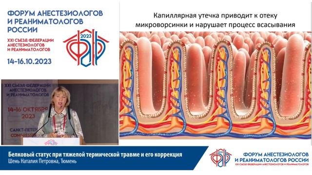 Белковый статус при тяжелой термической травме и его коррекция. Шень Н.П. смотреть онлайн