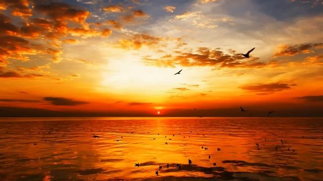 Оставайтесь безмятежными смотреть онлайн