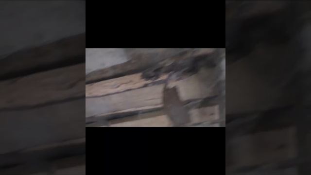 Про ОБЗОЛ и ЖУКОВ смотреть онлайн