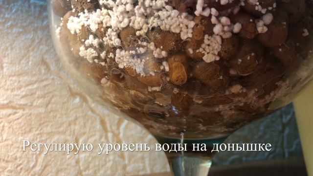 ? Результат Посадки В Керамзит / Освоение ЗС смотреть онлайн