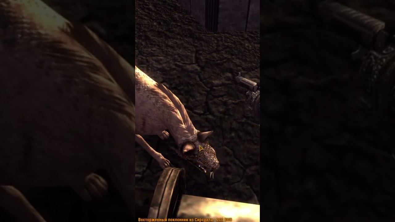 Веселое прохождение Фоллаут НВ.#mrcatgame #fallout #фоллаут