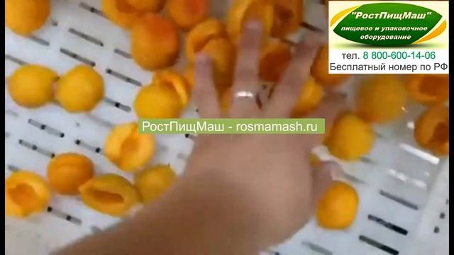 Машина для удаления косточек из абрикоса от РостПищМаш смотреть онлайн