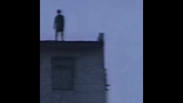 disillusion смотреть онлайн