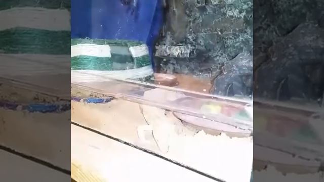 Два солдата из стройбата заменяют экскаватор, а один эублефар заменяет взвод солдат смотреть онлайн