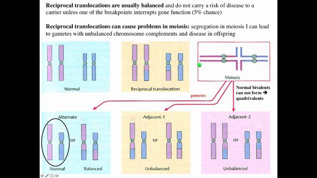 Cytogenetics II   Chromosome Translocations