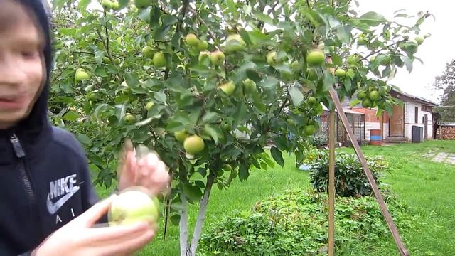 // ЧТО МОЖНО ПОДЕЛАТЬ НА ДАЧЕ? // смотреть онлайн