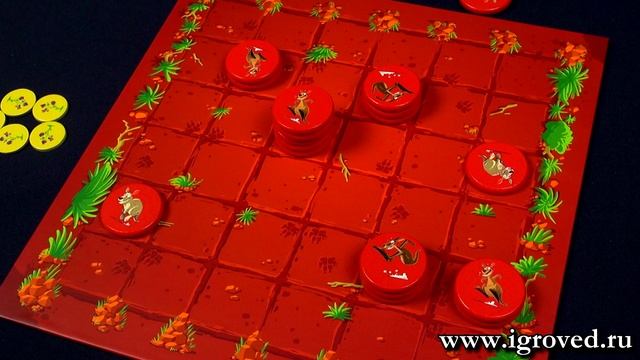 Команда кенгуру (Kang). Обзор настольной игры от Игроведа смотреть онлайн