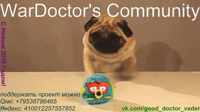 Twilight City: Love as a cure и Bear with me смотреть онлайн