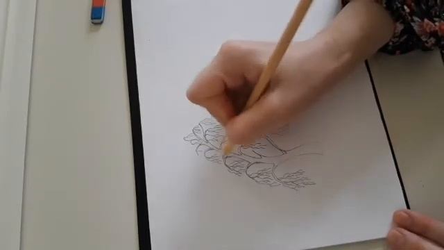 Летняя школа ДДТ. Занятие на тему "Рисуем дерево" смотреть онлайн
