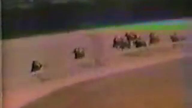 Ruffian, her first race смотреть онлайн