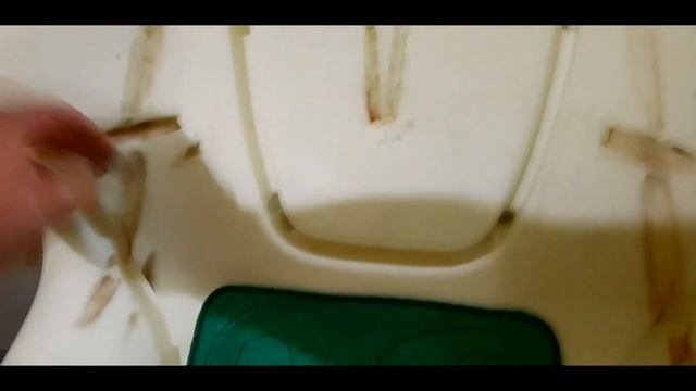Анбоксинг посылки из Тольятти для спаржи смотреть онлайн