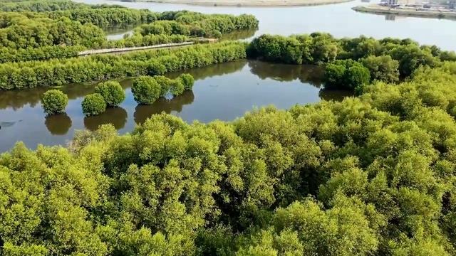 Причина, по которой парень безжалостно выгнал девушку из дома, поразит любого смотреть онлайн