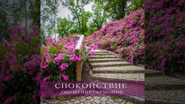 Спа музыка смотреть онлайн