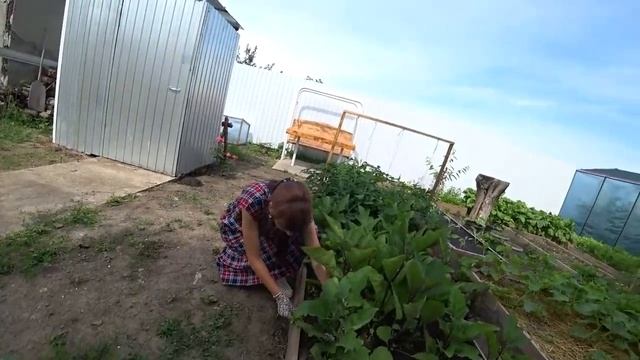 Поймала аллергию в поле \ Собираемся посмотреть дом для Кристины смотреть онлайн