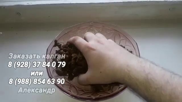 Лапчатка прямостоячая Калган ЧУДО ЧУДНОЕ ДИВО ДИВНОЕ смотреть онлайн