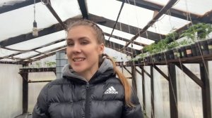 ЧТО ПОСАДИТЬ В ОТКРЫТЫЙ ГРУНТ В АПРЕЛЕ, МАЕ. ЧТО ПОСЕЯТЬ НА РАССАДУ