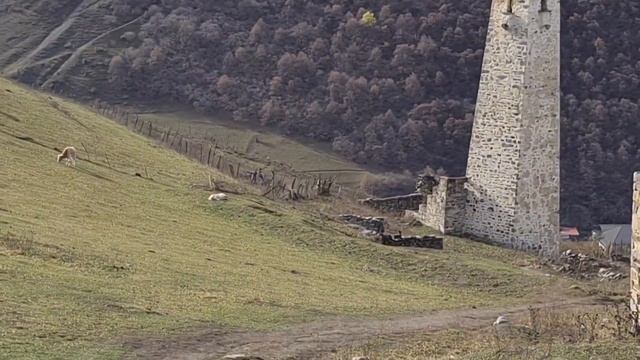 ИНГУШЕТИЯ, Башни ЭРЗИ: Башенный комплекс, старинные башни, останки цивилизации из прошлых веков смотреть онлайн