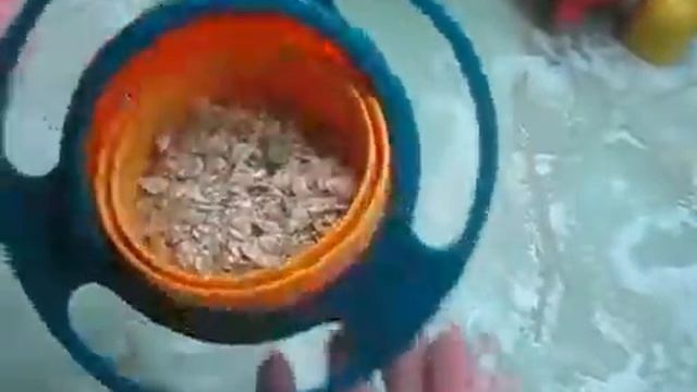 Children's No Spill Bowl смотреть онлайн