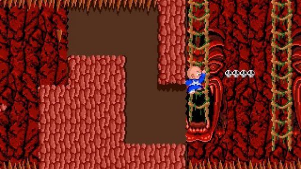 Bonze Adventure (Arcade) (World Ver.) |