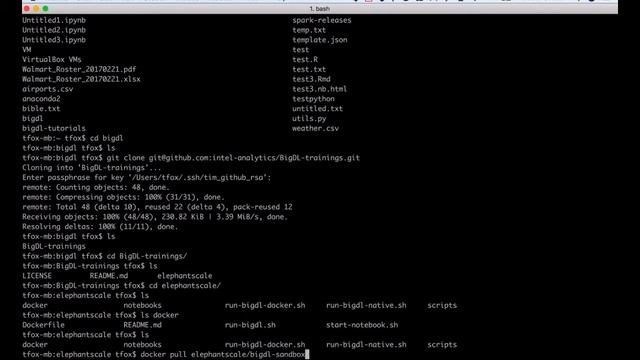 BigDL Intro Docker Sandbox смотреть онлайн