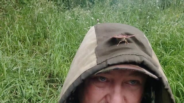 Роллы. Игорь Беловинцев около реки. смотреть онлайн