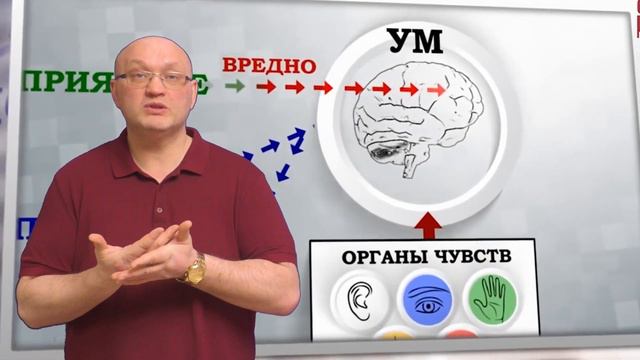 Почему так сложно бросить курить смотреть онлайн