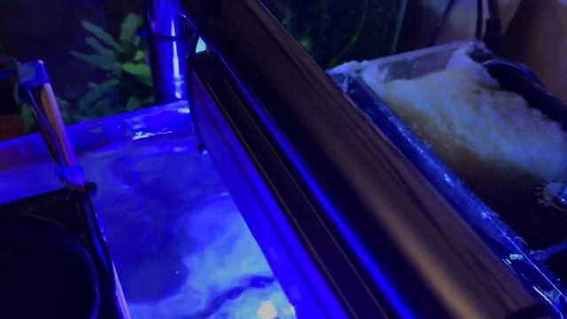 Самодельный LED светильник для морского аквариума. смотреть онлайн