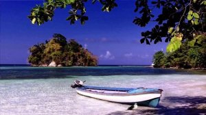 Берега с пальмами