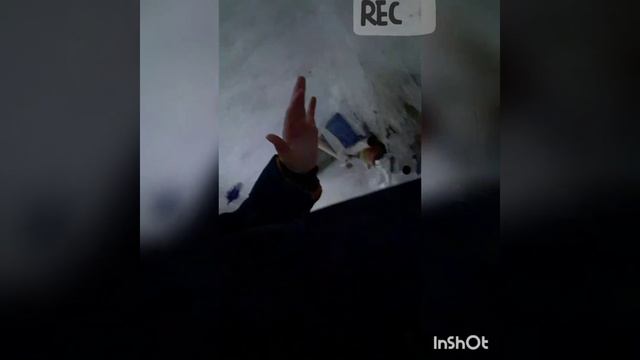 Дом из плёнки на дереве смотреть онлайн