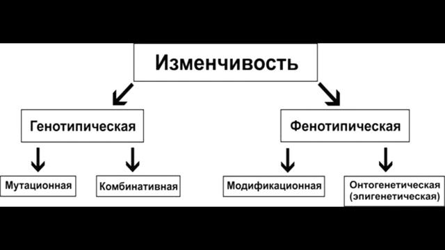 § 20 Основные формы изменчивости. Генотипическая изменчивость. смотреть онлайн