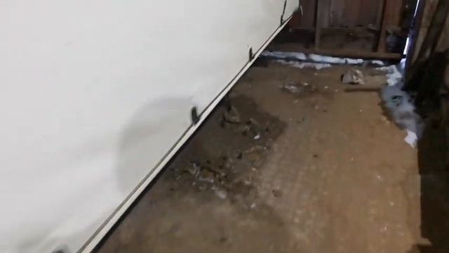 Водитель ушатал БЕЛЯША! Страшный сон владельца транспорта! ШОК КОНТЕНТ! смотреть онлайн