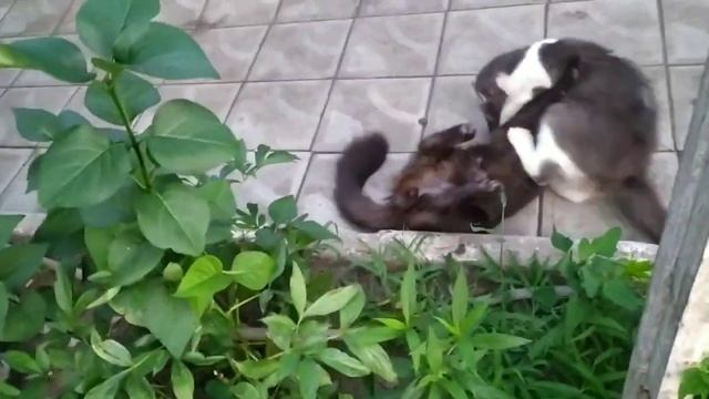 Обычный вечер после работы. смотреть онлайн