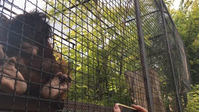 Даночка - для посетителей Тайгана развлекалочка) смотреть онлайн