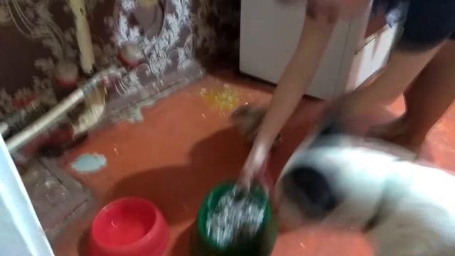 Есика и Жора смотреть онлайн
