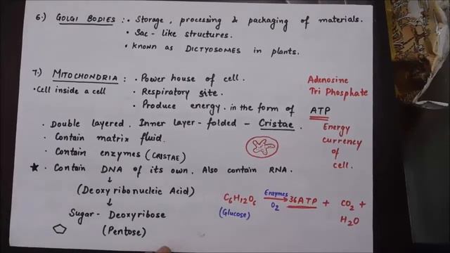 Cell theory part 2 ssc cgl chsl loco pilot railway смотреть онлайн