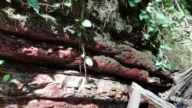 Часть 7. Горная местность смотреть онлайн