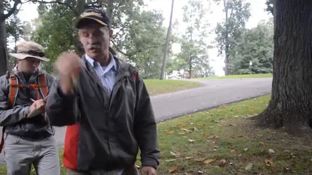 Carya glabra and tomentosa смотреть онлайн