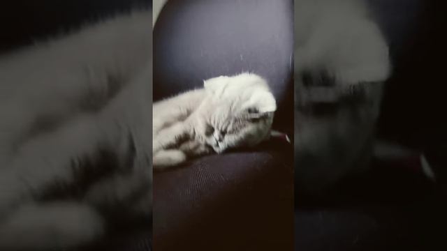 не биси смотреть онлайн