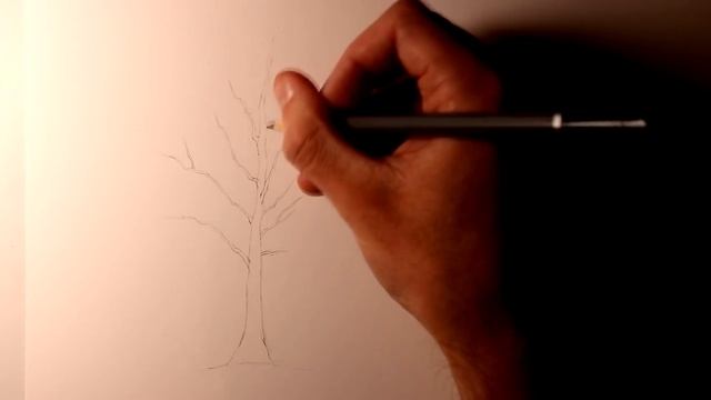 How To Draw Trees