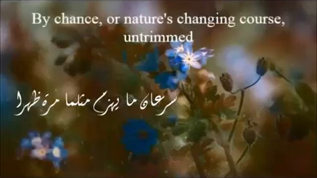 ترجمة بليغ حمدي المترجم لسونيتة شكسبير رقم 18 Shall I compare смотреть онлайн